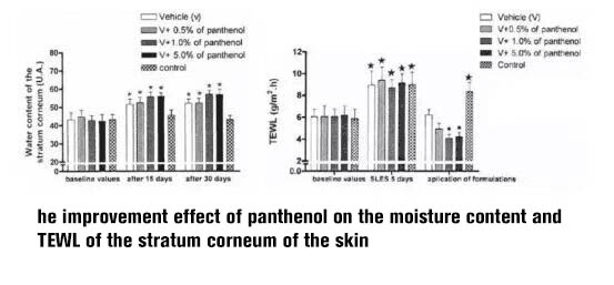 NUBWAY | Is skin barrier damaged? Repair it! Try these 4 steps!