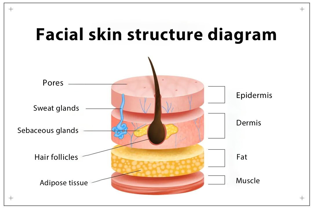 NUBWAY | Discover Fractional CO2 Laser: Your Skin's New Secret